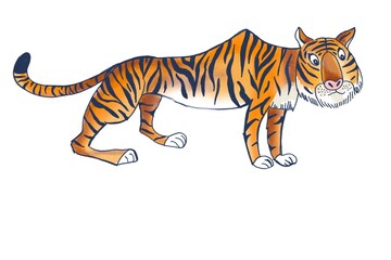 Cartoon tiger, illustration on a white background