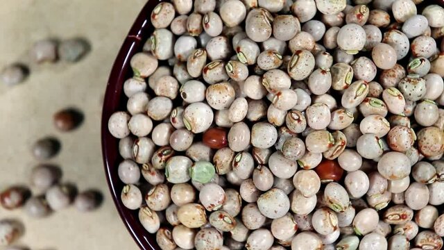 Top view of pigeon pea or tuvar beans or guandu bean Cajanus cajan seeds in ceramic bowl on the wooden table in Brazil