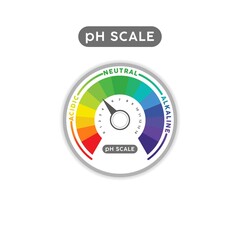 pH Scale Indicator Chart Diagram. pH analysis vector chemical scale value test. Acidic alkaline measure