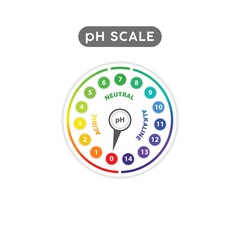 pH Scale Indicator Chart Diagram. pH analysis vector chemical scale value test. Acidic alkaline measure