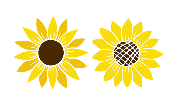 Sunflower simple icon. Flower silhouette vector illustration. Sunflower graphic logo, hand drawn icon for packaging, decor. Petals frame, black silhouette isolated on white background