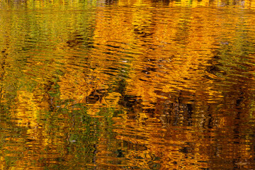 Autumn foliage reflection in water