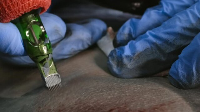Close-up video of master making black tattoo on body