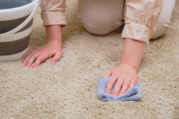 A woman with a bucket and a rag washes the carpet in the home living room