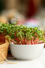 Bowl with organic micro green sprouts on table, closeup