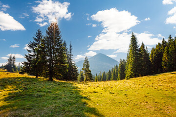 Sunny mountain landscape in summer day.