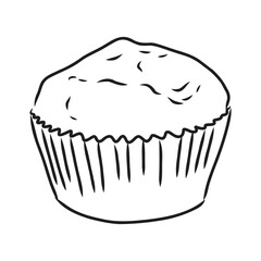 drawing of a cup cake cupcake vector sketch