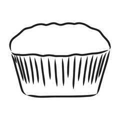 drawing of a cup cake cupcake vector sketch