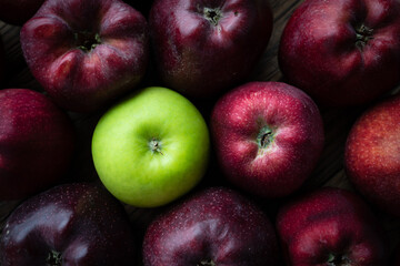 One green fresh apple with dark red apples.  yound and old.
