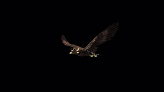 Imperial Eagle - Flying Loop - Side View - 3D Animation - Alpha Channel