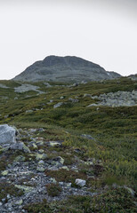 Scandinavian mountains in the area of Gaustatoppen on Lake Heddevatn