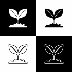Set Plant icon isolated on black and white background. Seed and seedling. Leaves sign. Leaf nature. Vector