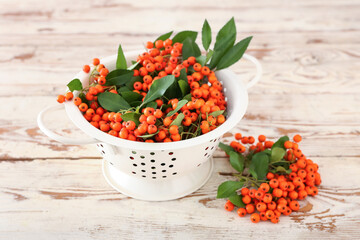 Colander with ripe rowan berries on light wooden background