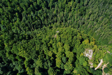 Fototapeta na wymiar Aerial view of a green forest covering a mountain peak