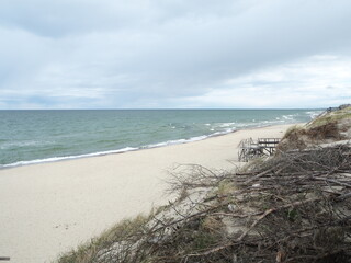 Sand dunes by the sea. Reserve Curonian Spit 