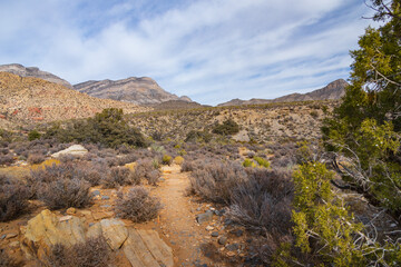 Fototapeta na wymiar Hiking trail in Red Rock Canyon, Nevada, USA