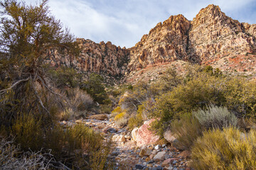 Fototapeta na wymiar Hiking trail in Red Rock Canyon, Nevada, USA