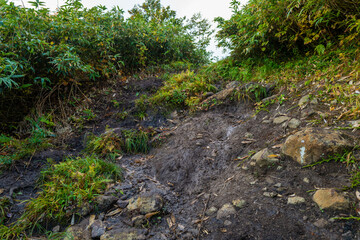 宮城県栗原市、秋田県湯沢市、雄勝郡東成瀬村、岩手県一関市にある栗駒山を紅葉の時期に登山する風景A view of climbing Mt. Kurikoma in Kurihara City, Miyagi Prefecture, Yuzawa City, Akita Prefecture, during the autumn foliage season.