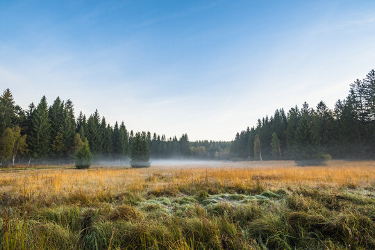 Morgennebel
