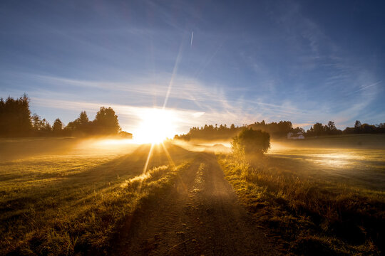 Morgennebel