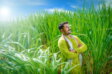 Indian farmer feeling happy and proud in sugarcane field - obrazy, fototapety, plakaty