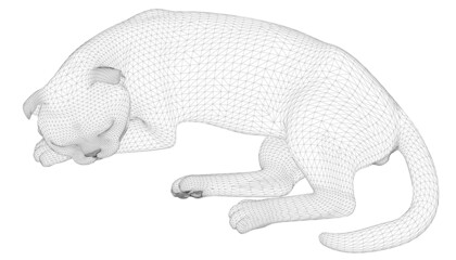 Wireframe of a sleeping cat from black lines isolated on a white background. 3D. Vector illustration