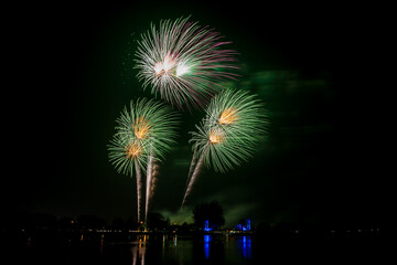 Fireworks with beautiful colorful flowers on a dark sky background.