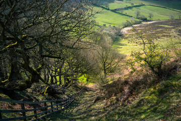 North York Moors with fields, grassland, and woodland in spring. Goathland, UK.
