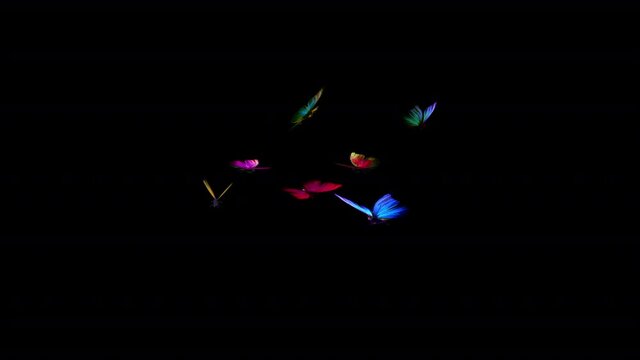 7 Rainbow Butterflies - Flying Loop - Alpha Channel - 3D Animation