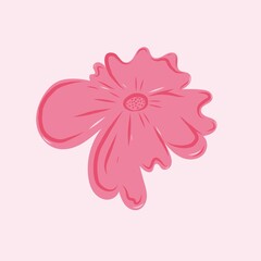 Beautiful pink flower on pink background