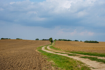 Obraz premium Feldweg 