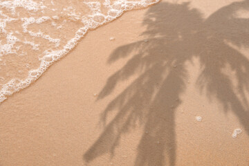 Summer beach day scene with tropical palm leaves shadow on sand background. Minimal sunlight...
