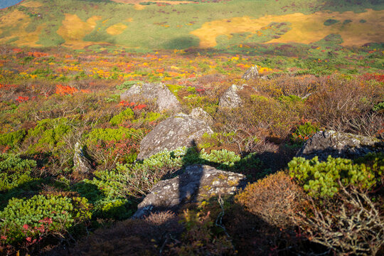 「栗原市」の画像 5,329 件の Stock 写真、ベクターおよびビデオ Adobe Stock
