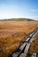 宮城県栗原市、秋田県湯沢市、雄勝郡東成瀬村、岩手県一関市にある栗駒山を紅葉の時期に登山する風景A view of climbing Mt. Kurikoma in Kurihara City, Miyagi Prefecture, Yuzawa City, Akita Prefecture, during the autumn foliage season.