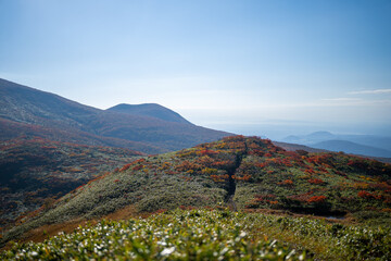 宮城県栗原市、秋田県湯沢市、雄勝郡東成瀬村、岩手県一関市にある栗駒山を紅葉の時期に登山する風景A view of climbing Mt. Kurikoma in Kurihara City, Miyagi Prefecture, Yuzawa City, Akita Prefecture, during the autumn foliage season.