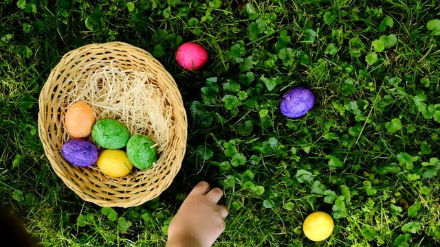 Easter Egg Hunt.Child collects Easter eggs and puts in a basket. Eggs in a round basket on a green clover.View from above. Colorful easter eggs. Easter holiday tradition.Spring religious holiday