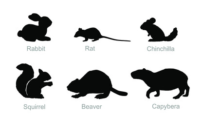 Rodent animals set vector silhouette illustration isolated on white background. Rabbit symbol. Rat shadow. Chinchilla shape. Squirrel pet. Beaver sign. Wood forest animals. 