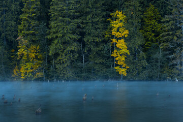 Foggy morning on a mountain lake. Misty cold autumn morning in the mountains.Spectacular lake