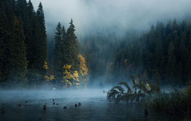 Foggy morning on a mountain lake. Misty cold autumn morning in the mountains.Spectacular lake