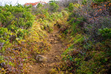 宮城県栗原市、秋田県湯沢市、雄勝郡東成瀬村、岩手県一関市にある栗駒山を紅葉の時期に登山する風景A view of climbing Mt. Kurikoma in Kurihara City, Miyagi Prefecture, Yuzawa City, Akita Prefecture, during the autumn foliage season.