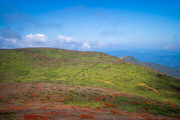 宮城県栗原市、秋田県湯沢市、雄勝郡東成瀬村、岩手県一関市にある栗駒山を紅葉の時期に登山する風景A view of climbing Mt. Kurikoma in Kurihara City, Miyagi Prefecture, Yuzawa City, Akita Prefecture, during the autumn foliage season.