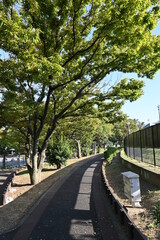 公園を散歩