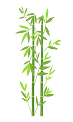 Background of  Green Bamboo. Bamboo trunks and leaves on white background.