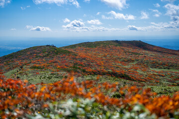 宮城県栗原市、秋田県湯沢市、雄勝郡東成瀬村、岩手県一関市にある栗駒山を紅葉の時期に登山する風景A view of climbing Mt. Kurikoma in Kurihara City, Miyagi Prefecture, Yuzawa City, Akita Prefecture, during the autumn foliage season.