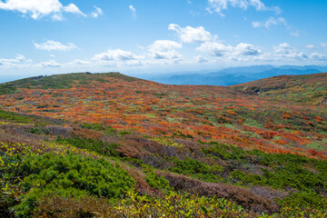 宮城県栗原市、秋田県湯沢市、雄勝郡東成瀬村、岩手県一関市にある栗駒山を紅葉の時期に登山する風景A view of climbing Mt. Kurikoma in Kurihara City, Miyagi Prefecture, Yuzawa City, Akita Prefecture, during the autumn foliage season.