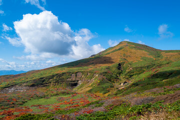 宮城県栗原市、秋田県湯沢市、雄勝郡東成瀬村、岩手県一関市にある栗駒山を紅葉の時期に登山する風景A view of climbing Mt. Kurikoma in Kurihara City, Miyagi Prefecture, Yuzawa City, Akita Prefecture, during the autumn foliage season.
