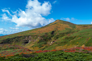 宮城県栗原市、秋田県湯沢市、雄勝郡東成瀬村、岩手県一関市にある栗駒山を紅葉の時期に登山する風景A view of climbing Mt. Kurikoma in Kurihara City, Miyagi Prefecture, Yuzawa City, Akita Prefecture, during the autumn foliage season.