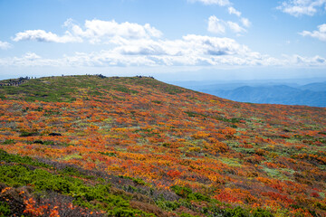 宮城県栗原市、秋田県湯沢市、雄勝郡東成瀬村、岩手県一関市にある栗駒山を紅葉の時期に登山する風景A view of climbing Mt. Kurikoma in Kurihara City, Miyagi Prefecture, Yuzawa City, Akita Prefecture, during the autumn foliage season.