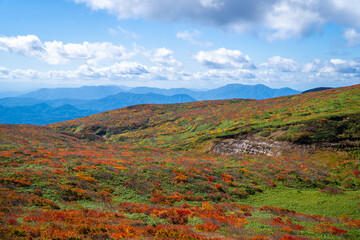宮城県栗原市、秋田県湯沢市、雄勝郡東成瀬村、岩手県一関市にある栗駒山を紅葉の時期に登山する風景A view of climbing Mt. Kurikoma in Kurihara City, Miyagi Prefecture, Yuzawa City, Akita Prefecture, during the autumn foliage season.