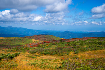 Fototapeta premium 宮城県栗原市、秋田県湯沢市、雄勝郡東成瀬村、岩手県一関市にある栗駒山を紅葉の時期に登山する風景A view of climbing Mt. Kurikoma in Kurihara City, Miyagi Prefecture, Yuzawa City, Akita Prefecture, during the autumn foliage season.